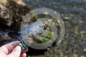 Burning White Sage Smudge Stick Close Up