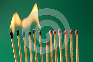 Burning and whole matches on green background, closeup. Stop destruction concept