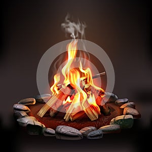 Burning Wood Campfire photo