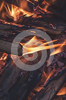 Burning wood in a campfire summer evening close-up