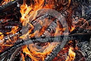 Burning Wood, Campfire, Vibrant Flames