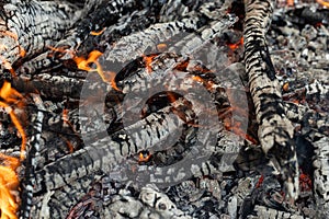 Burning Wood, Campfire, Vibrant Flames