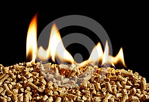 Burning Wood chip biomass fuel a renewable alternative source of