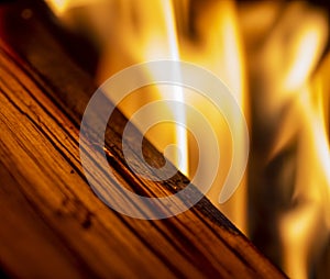 Burning wood close-up