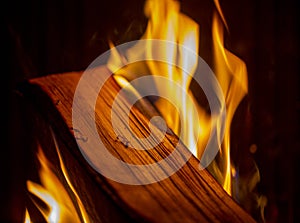 Burning wood close-up