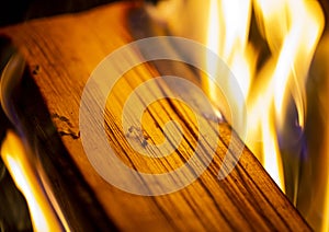 Burning wood close-up