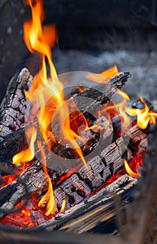 Burning wood close up