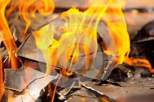 Burning wood fire close up abstract