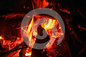 Burning wood fire in fireplace