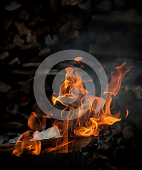 Burning wood in fire
