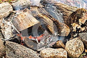 Burning Wood in a Fire Pit