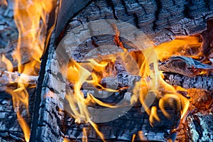 Burning wood, flame and smoke on blue background