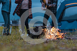 Burning wood at night. Campfire at nature in mountains. Flame and fire sparks. abstract background