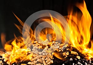 Burning wood pellet photo