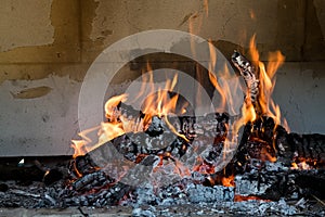 Burning wood to obtain carbon photo
