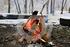 burning wood in winter forest