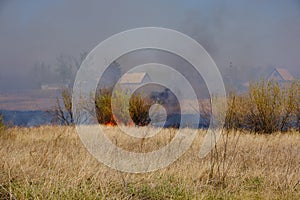Burning yellowed dry grass against background houses.Sultry arid fire hazardous weather