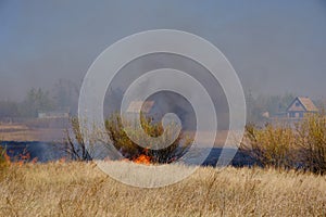 Burning yellowed dry grass against background houses.Sultry arid fire hazardous weather