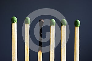 Burnout at work and over exhausted. Line of matches and one burnt photo