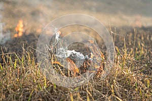 Burns dry grass fire