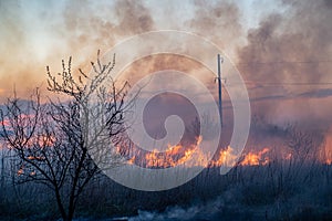 Burns dry grass in sky smoke.