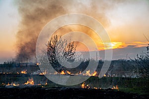 Burns dry grass in sky smoke.