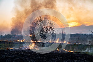 Burns dry grass in sky smoke.