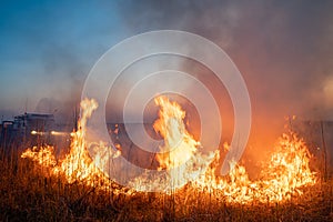 Burns dry grass in sky smoke.