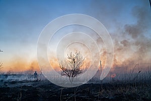 Burns dry grass in sky smoke.