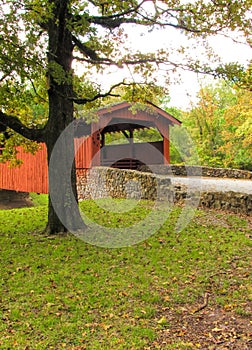 Burns Park Covered Bridge 3