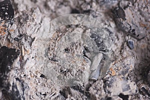 Burnt ash texture surface in a local coal pot