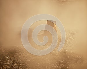 Burnt and charred tree stump in mist.