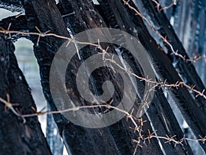 Burnt fence with barbed wire