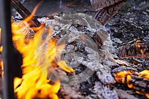 Burnt fence close-up on the ashes of a large fire, on a blurred background with a bokeh effect