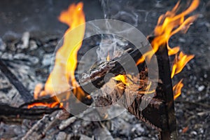 Burnt fence close-up on the ashes of a large fire, on a blurred background with a bokeh effect