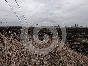 Burnt field. Dry steppe grass. Place of environmental disaster