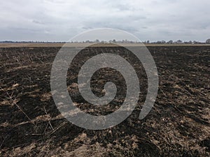 Burnt field. Place of environmental disaster. Moody landscape