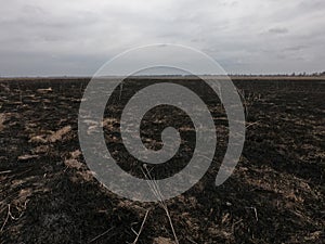 Burnt field. Place of environmental disaster. Moody landscape