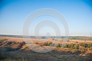 Burnt grass, landscape fire