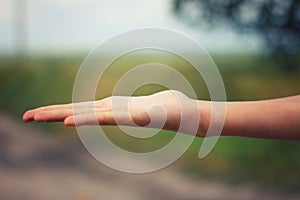 Burnt grass in spring ,Closeup