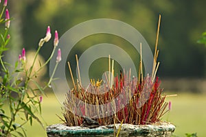 Burnt Incense sticks