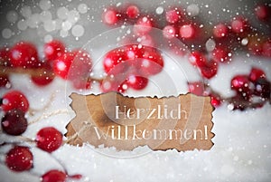 Burnt Label, Snow, Snowflakes, Herzlich Willkommen Means Welcome