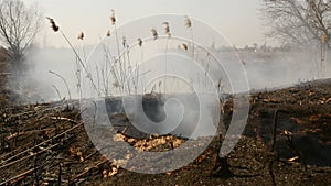 Burnt land after a spring fire on the field. Smoldering grass. Big pits with ash