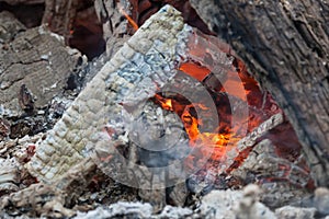 Burnt logs and fire flames close-up. Abstract background