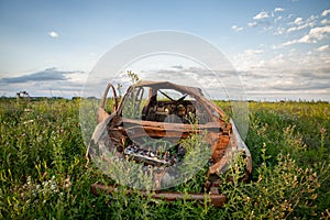 Burnt old car parked in tall weeds photo