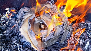 Burnt pages of a book on the fire. Burning books photo