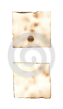 Burnt paper sheet isolated