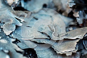 Burnt Paper stack close up, background
