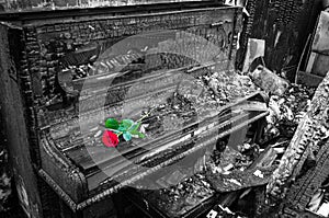 Burnt piano with red rose flower