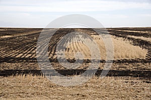 Burnt stubble from farmland in South Africa